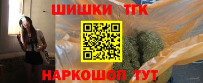 стаф Дубна