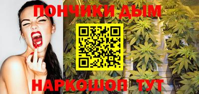 стаф Дубна