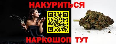 стаф Дубна