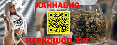 стаф Дубна