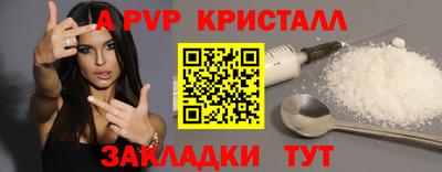 стаф Дубна