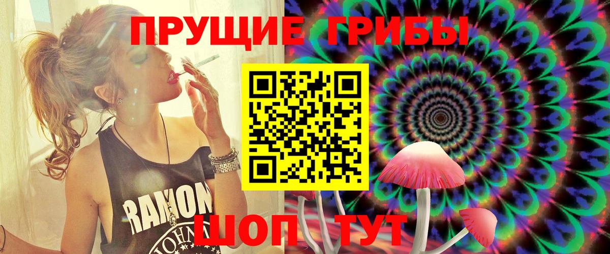 Реутов  Галлюциногенные грибы ЛСД  Вход с VPN 